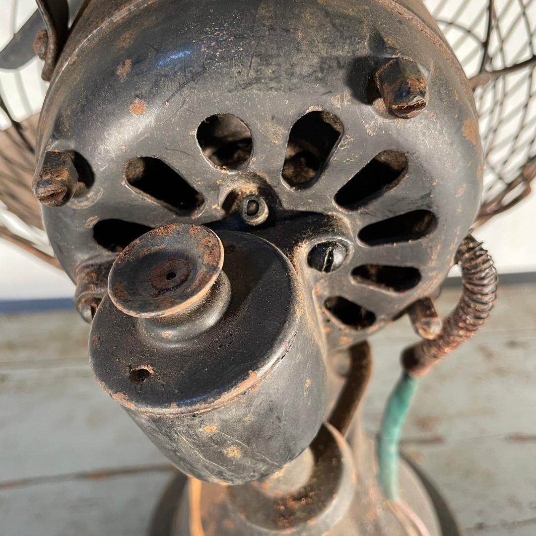 ヴィンテージ 芝浦 鉄製 扇風機 電気扇 東芝 昭和 レトロ 睡蓮 - メルカリ