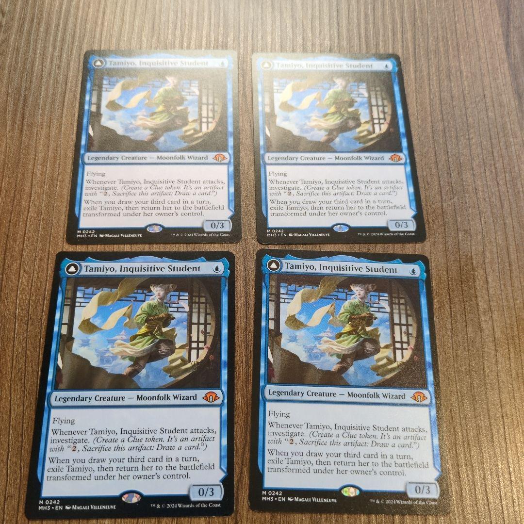 知りたがりの学徒、タミヨウ　英語　4枚