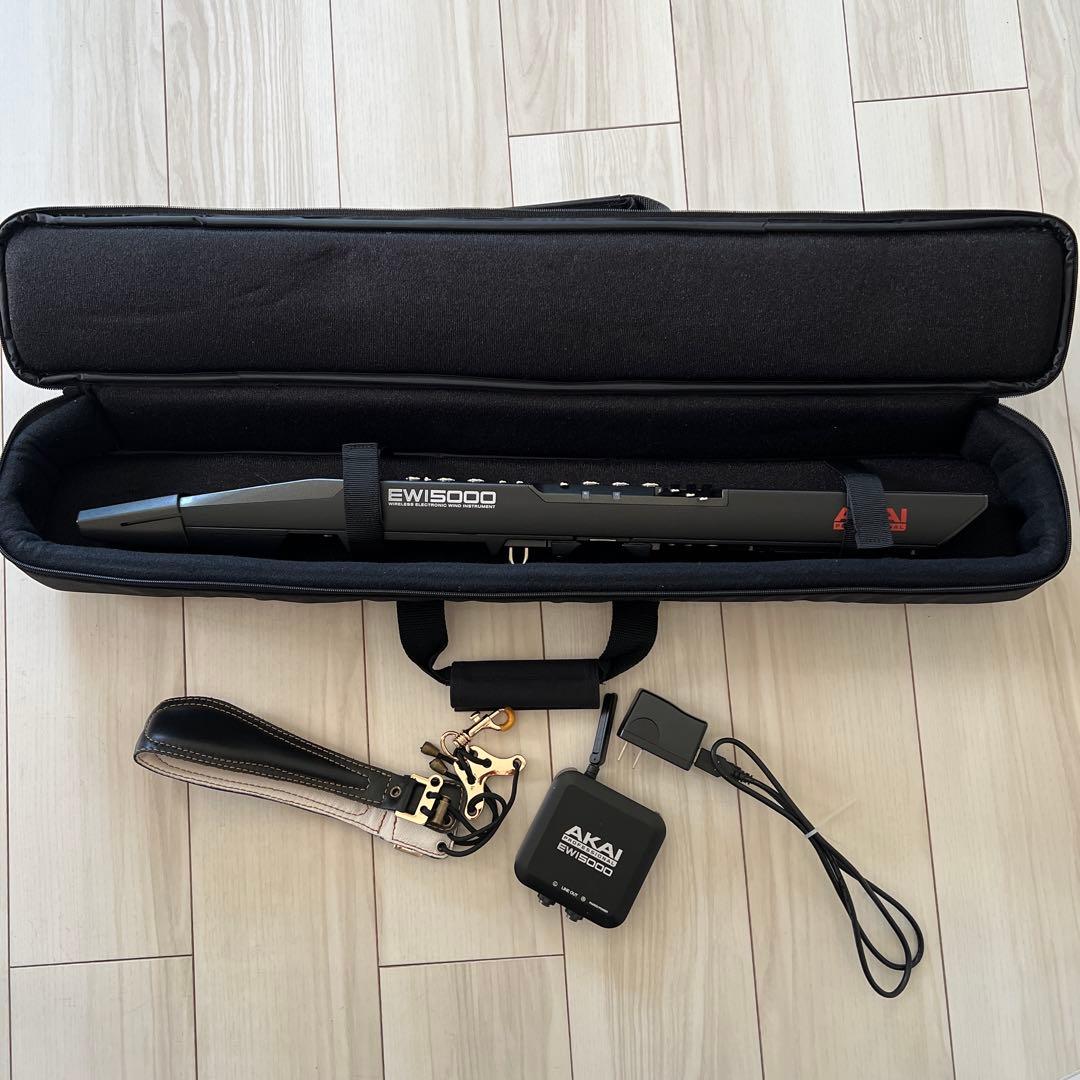 EWI5000 ケース＆ストラップ付き ewi-tri-bag-1.jpg