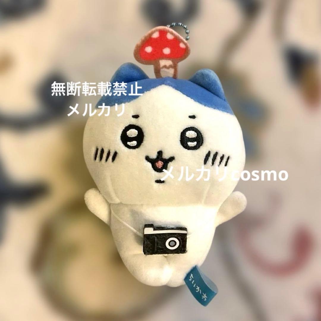 ちいかわ　森のキノコ　ぷちミニマスコット　ハチワレ　マスコット