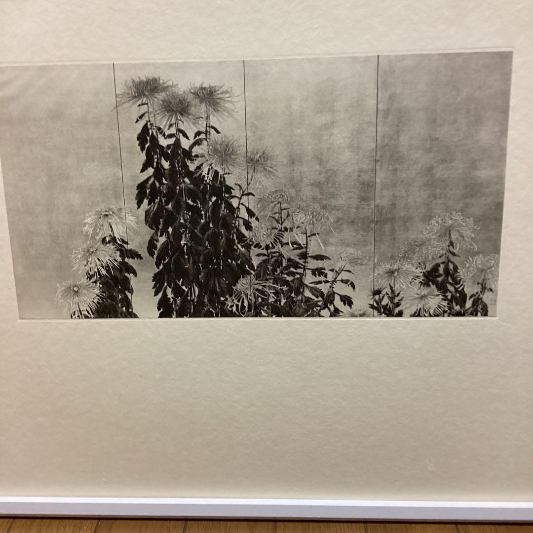 天才画家速水御舟 作品集大作編 便利堂監修 画集 NO 10 【菊花図