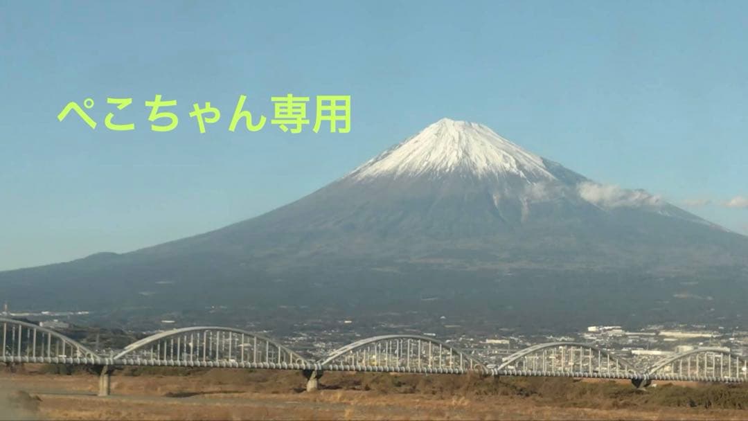 ぺこちゃん専用　ブラデリスニューヨーク　ジャスミンスッテプ1 ×2枚