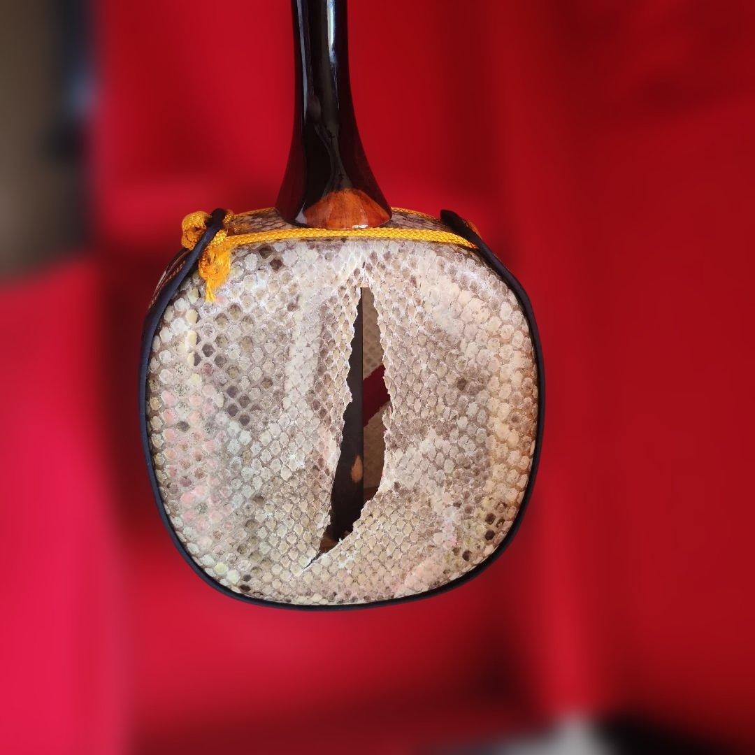 三線 本体 蛇の皮 ケース付き - メルカリ