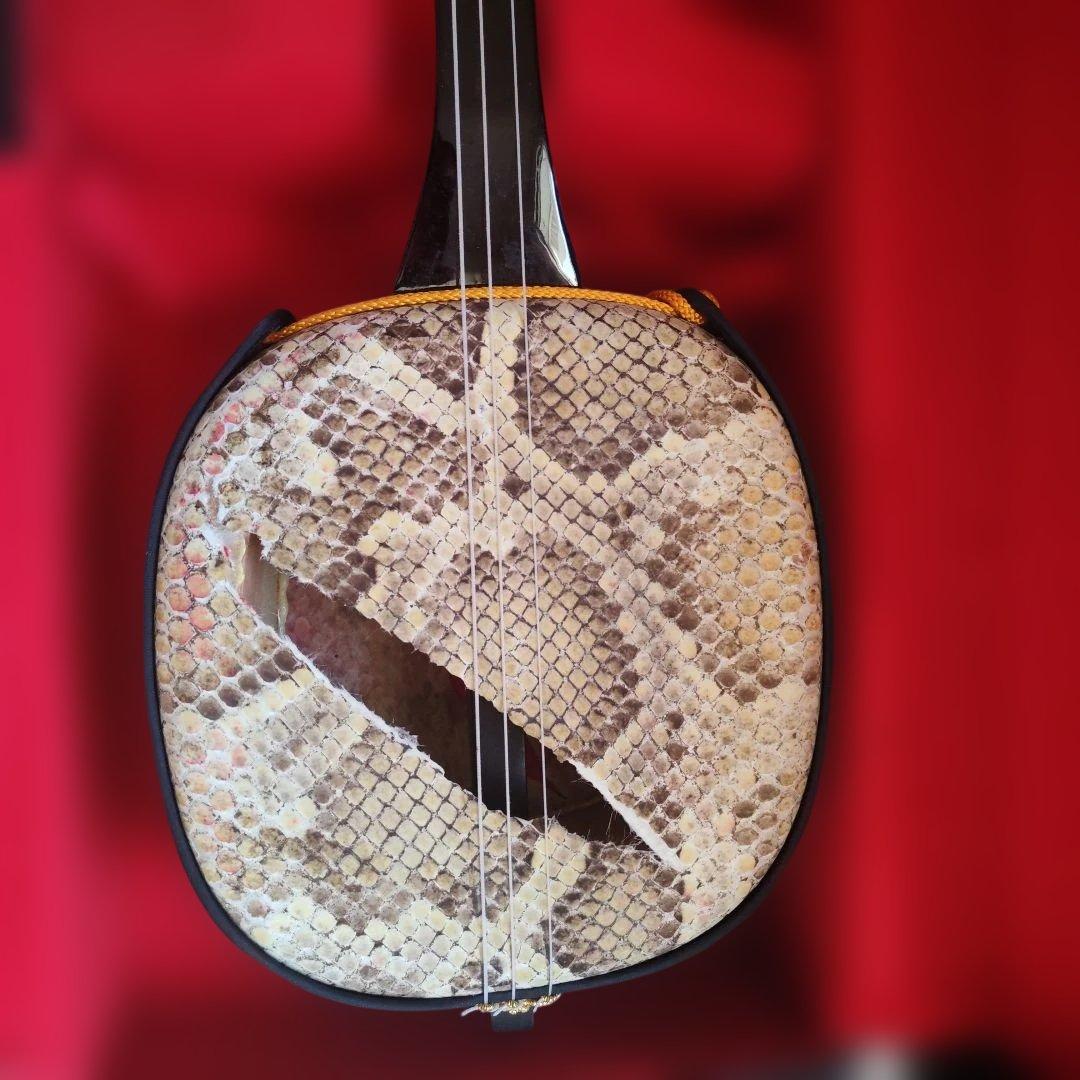 三線 本体 蛇の皮 ケース付き - メルカリ