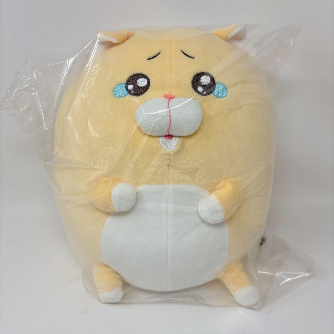 泣きむし猫のキィちゃん ましゅもっち BIGぬいぐるみ モフ缶 猫 希少