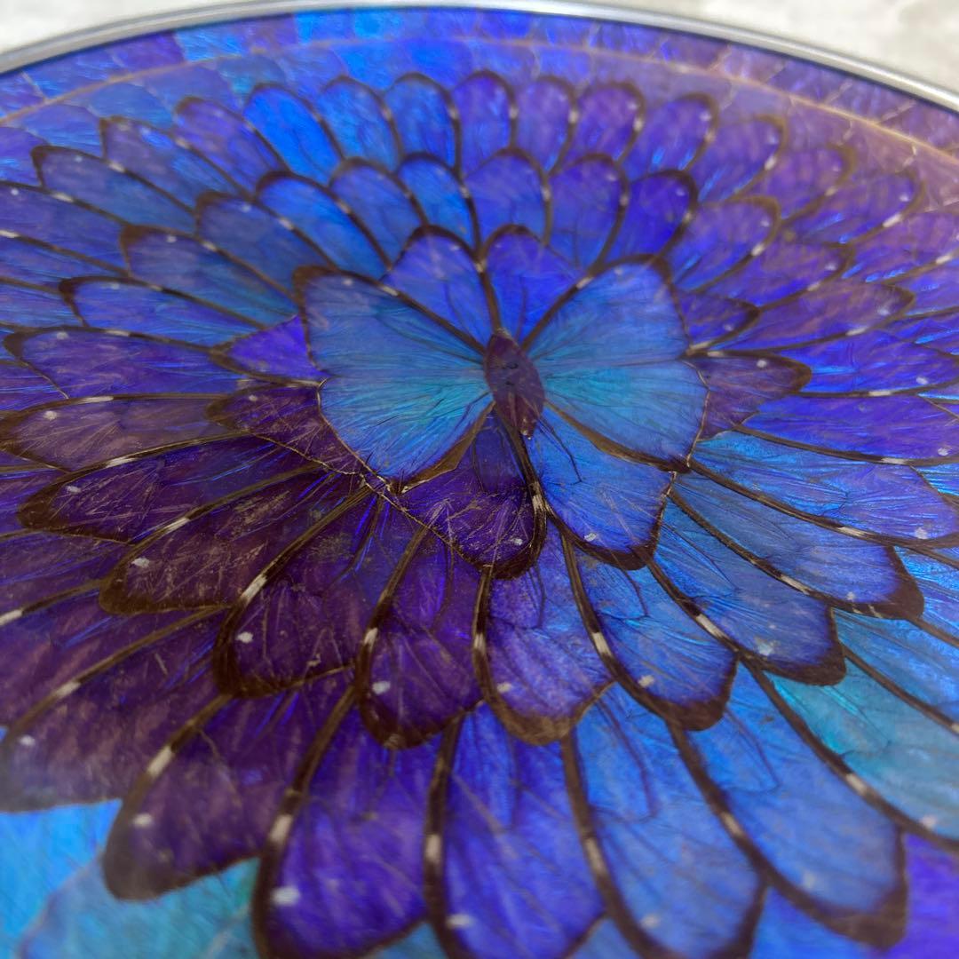 本日限定‼️モルフォ蝶 壁掛け 飾り皿 ブラジル プレート 28cm - メルカリ