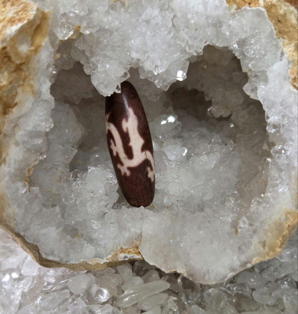 061　天珠　赤色の騎龍観音天珠　dzibeads！