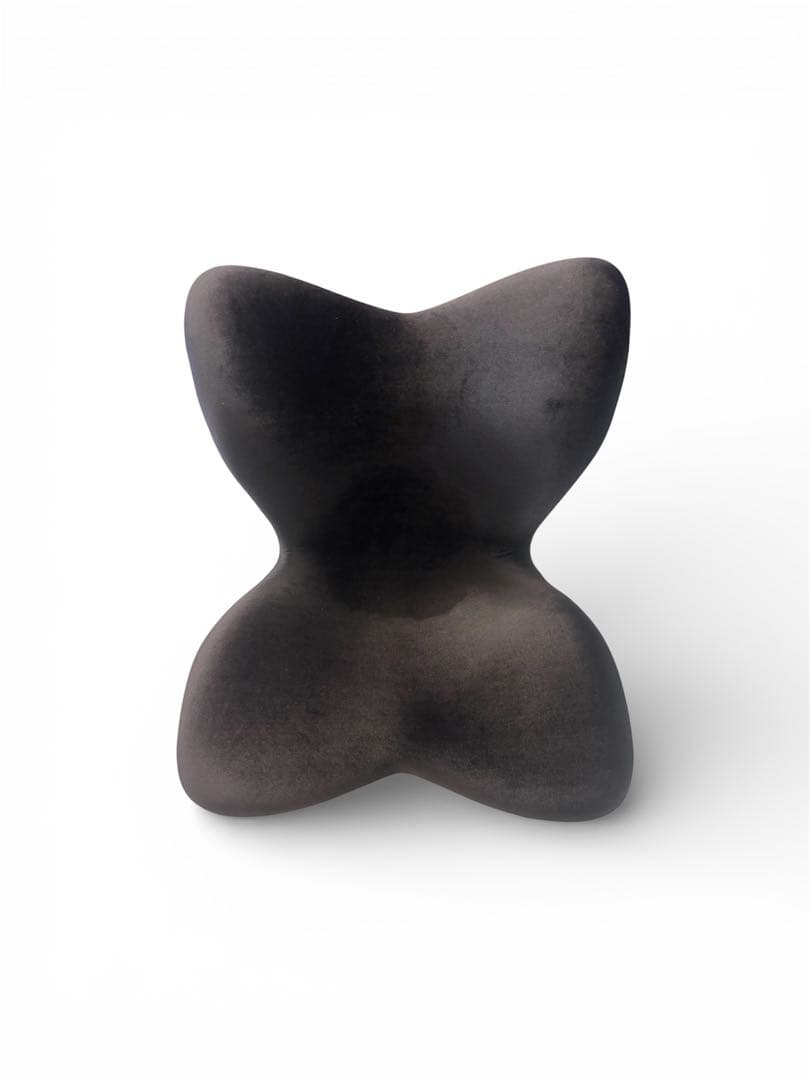 スタイルプレミアム デラックス ブラック Style PREMIUM DX