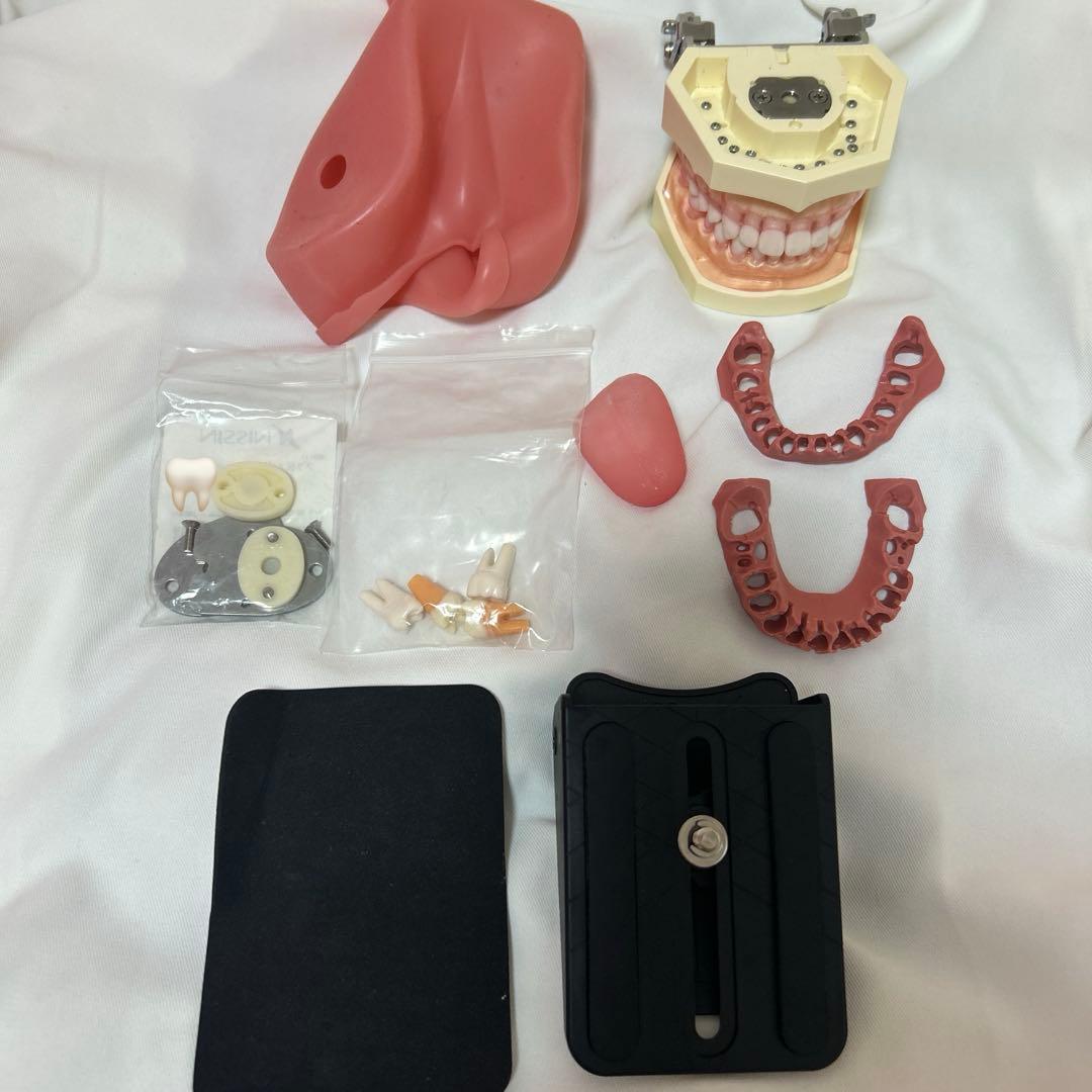 顎模型セット 2026年最新】顎模型 ニッシンの人気アイテム - メルカリ