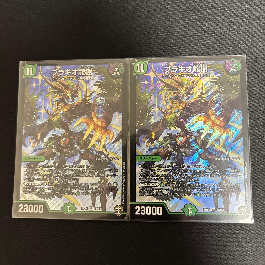 ブラキオ龍樹　②