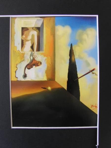 Salvador Dali、INSTRUMENT MASOCHISTE、画集画