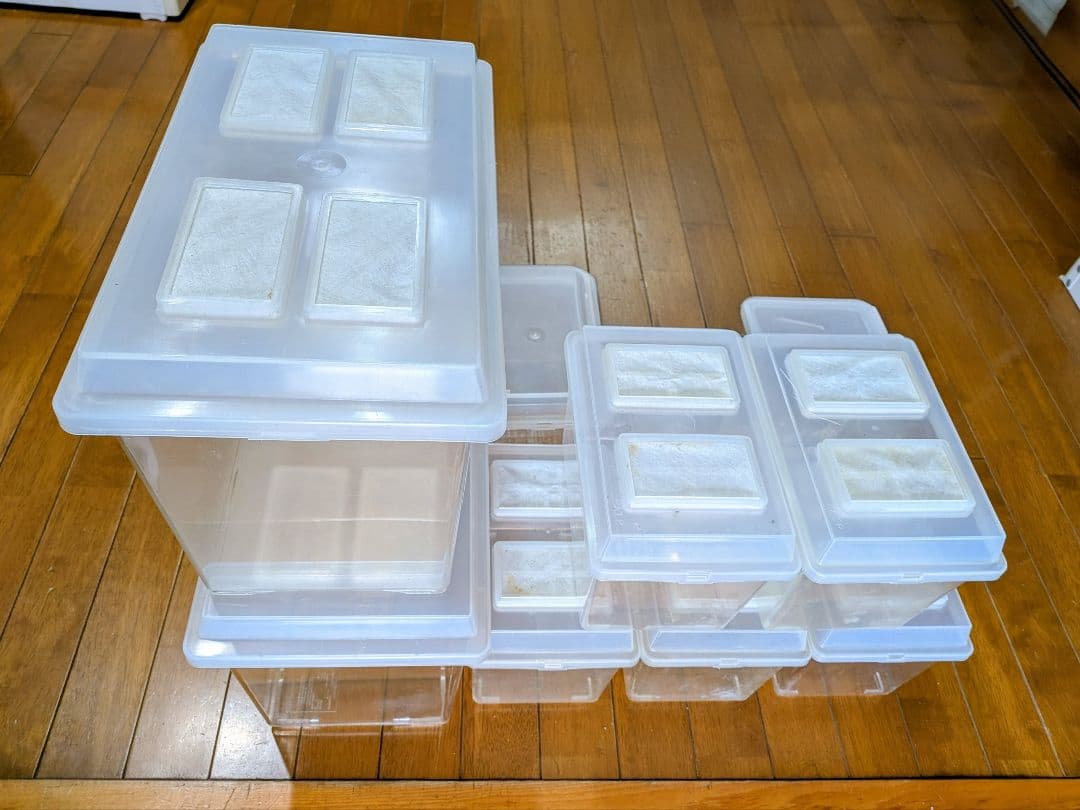 コバエシャッター,アナセーラ 中古8個 - メルカリ