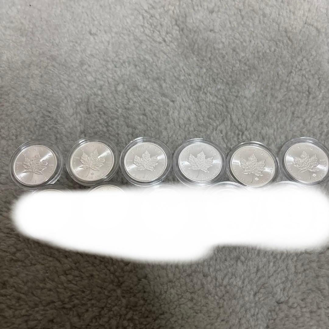 dendenメイプルリーフシルバー 6枚セット Maple Leafメイプルリーフ メープルリーフ Crazy Jet クレイジー