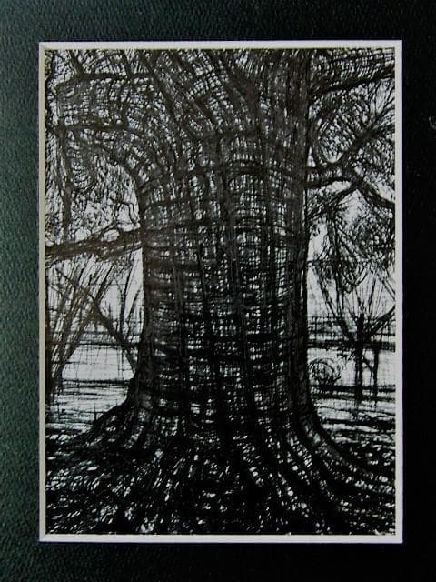 遠藤剛熈、【椎の大樹】、希少な額装用画集より、新品額装付、状態良好