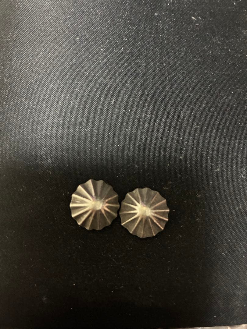 ほちい 51hae22iuRL._AC_SY535_.jpg