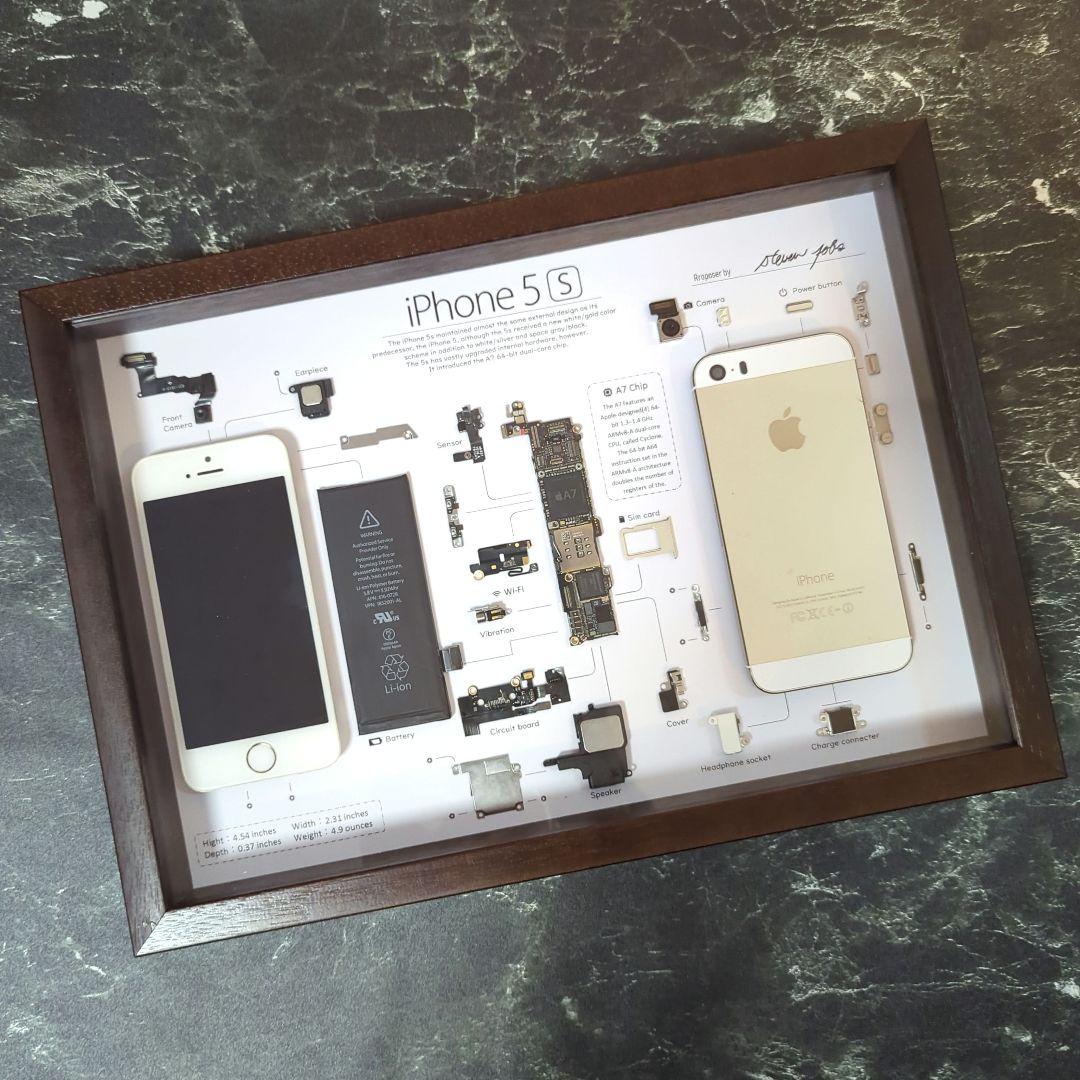 iPhone5s ゴールド 標本アート