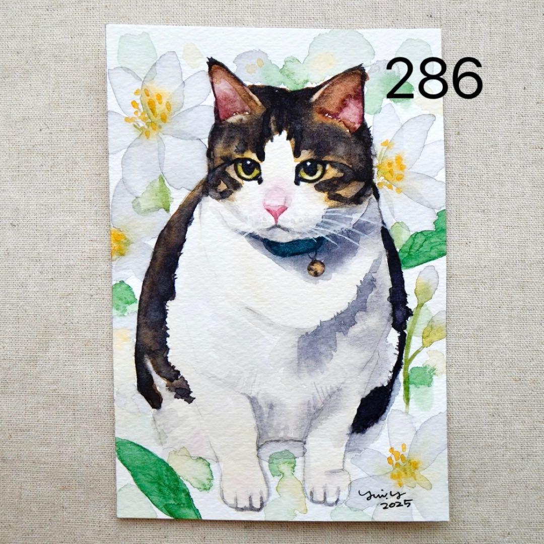 猫の絵 286 水彩画 原画 キジ白猫 ポストカードサイズ - メルカリ
