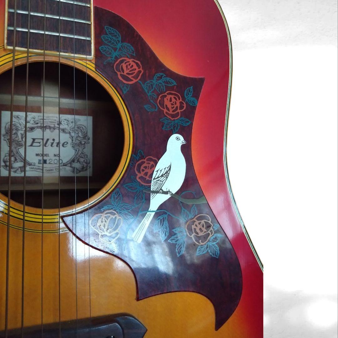 アコースティックギター EliteTAKAMINEGAKKI HM200