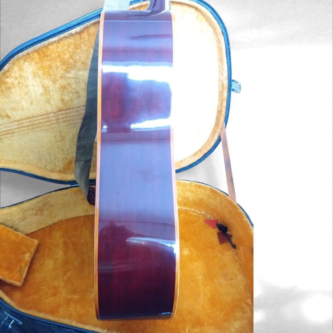 アコースティックギター EliteTAKAMINEGAKKI HM200