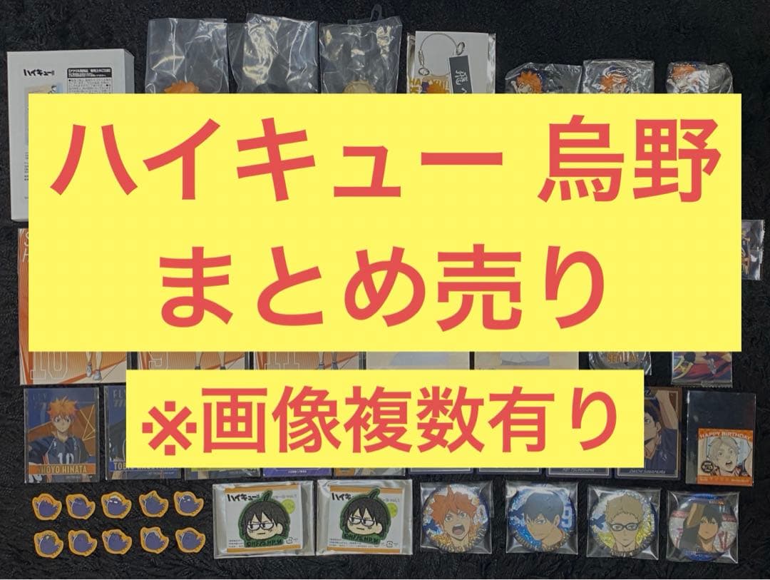 ハイキュー 日向翔陽 影山飛雄 月島蛍 山口忠 澤村大地 菅原孝支 烏野