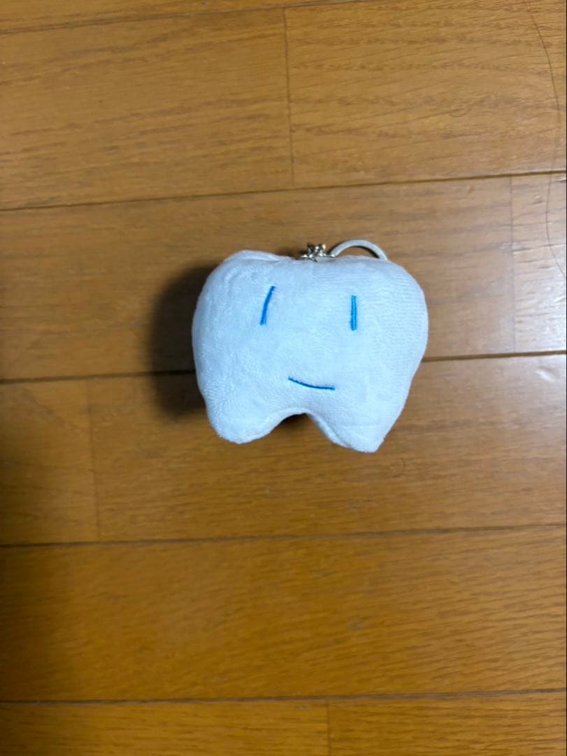 Ado こんにちは！はちゃんです