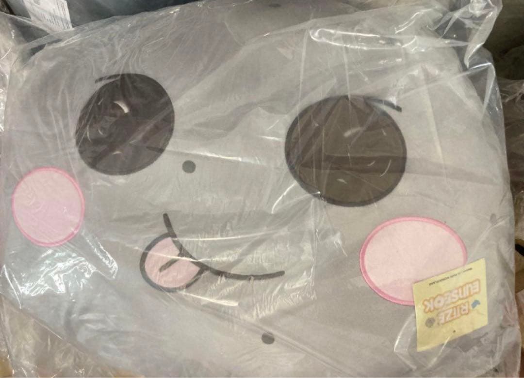 RIIZE ウンソク トルビョン ライズ　中国限定 抱きまくら RIIZE ライズ バレンタイン ぬいぐるみ キーリング ソヒ トルビョン