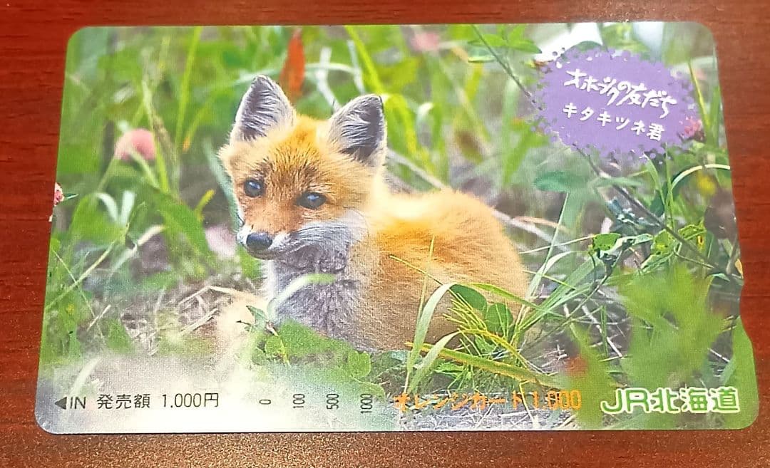 国鉄/JR東日本/JR北海道/JR貨物 オレンジカード13枚 未使用 - メルカリ