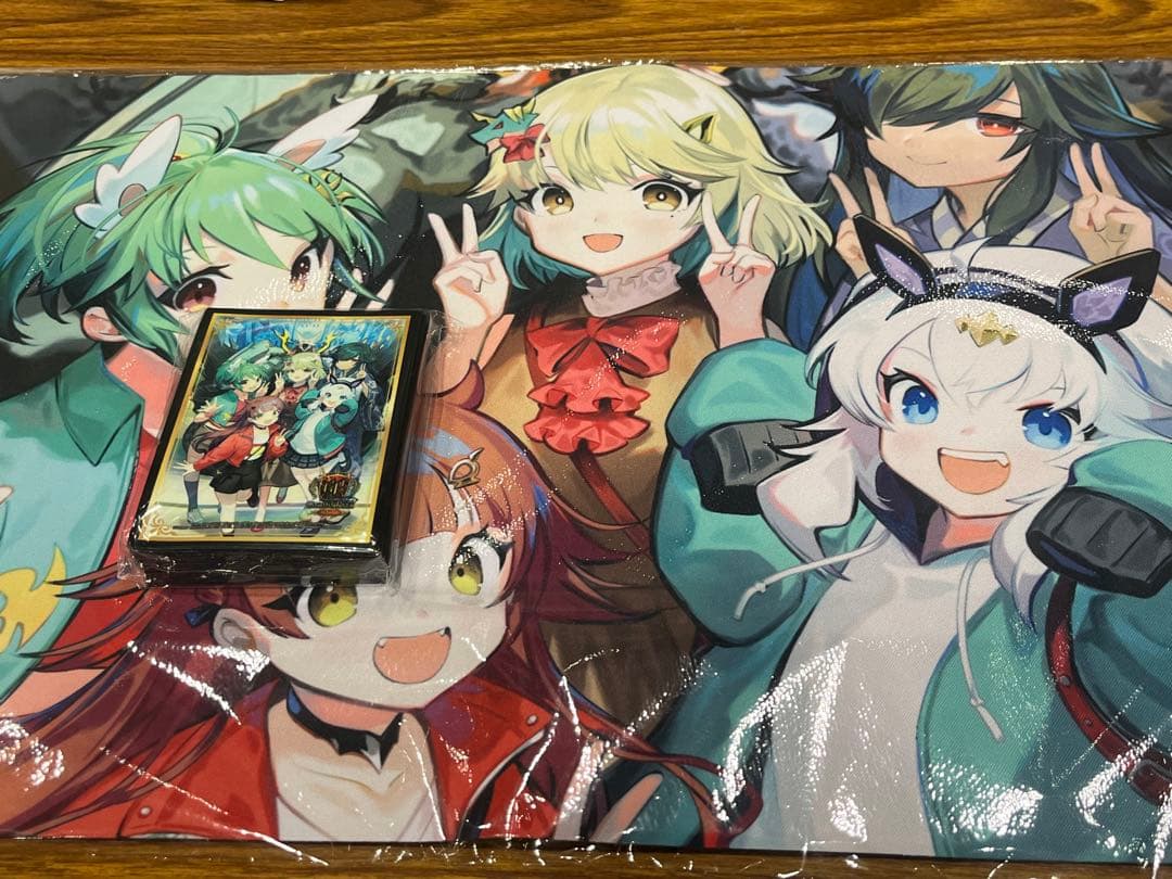 DMGP 2025 プレイマット スリーブ ドラゴン娘 星龍パーフェクトアース