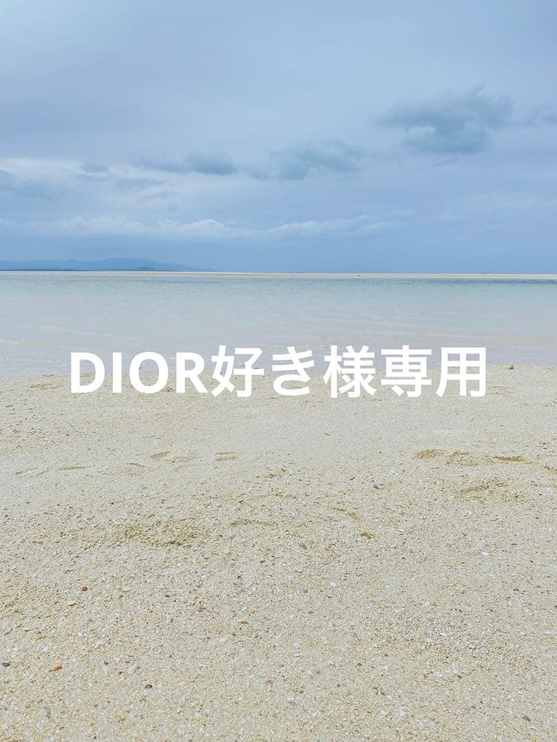 DIOR好き