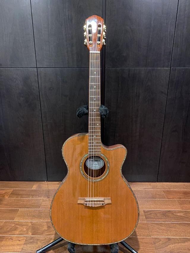 PLAYTECH ECL-200 エレガットギター