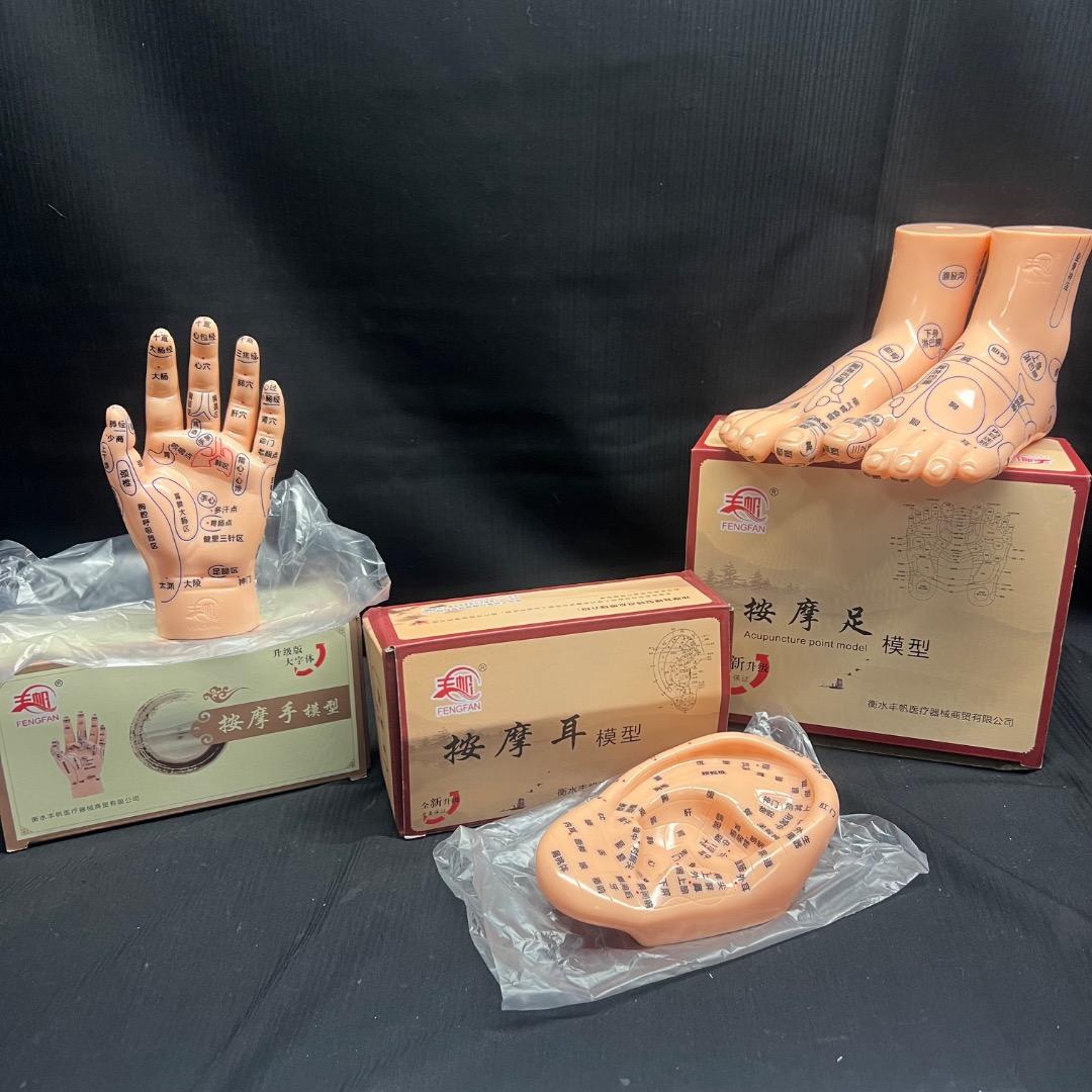 〇Od54 未使用保管品 鍼 ツボ モデル 手 耳 足 3点まとめ