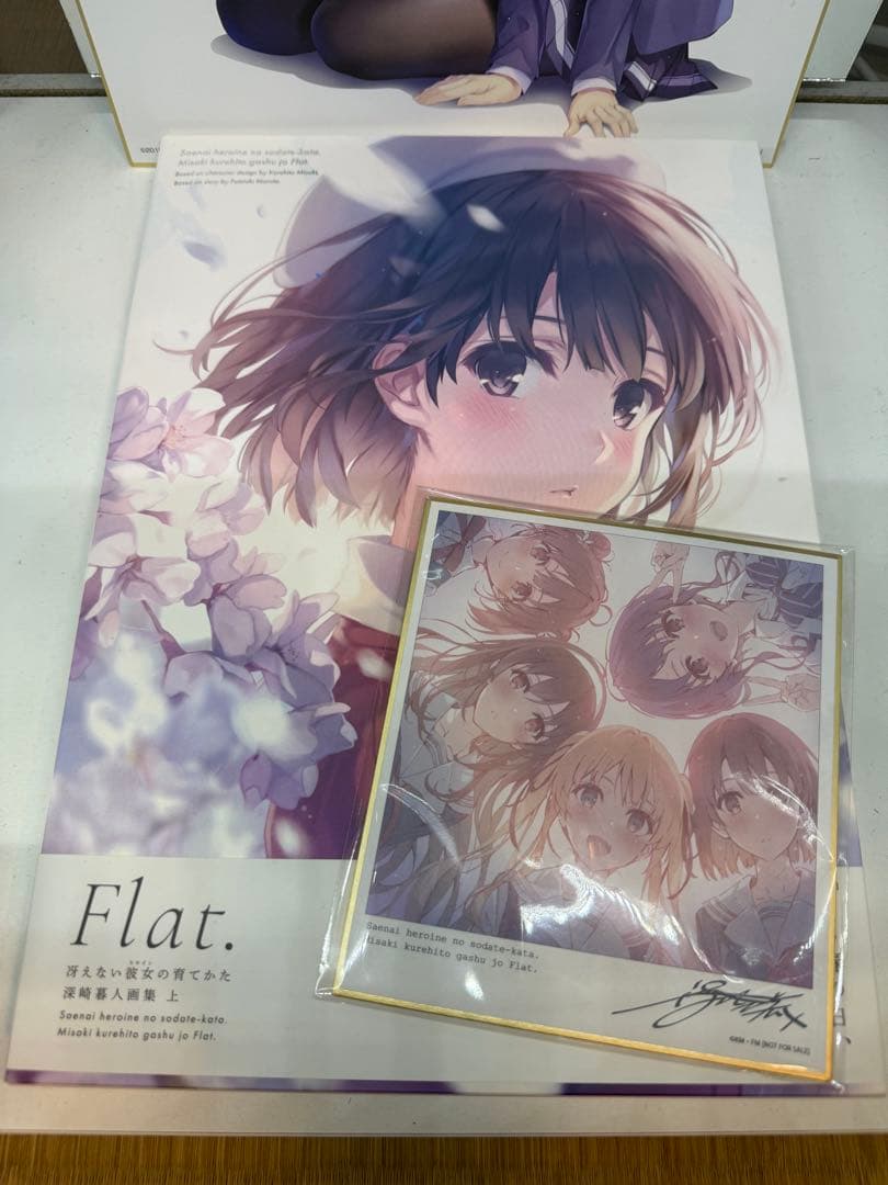 冴えない彼女の育てかた 深崎暮人画集 上下 セット