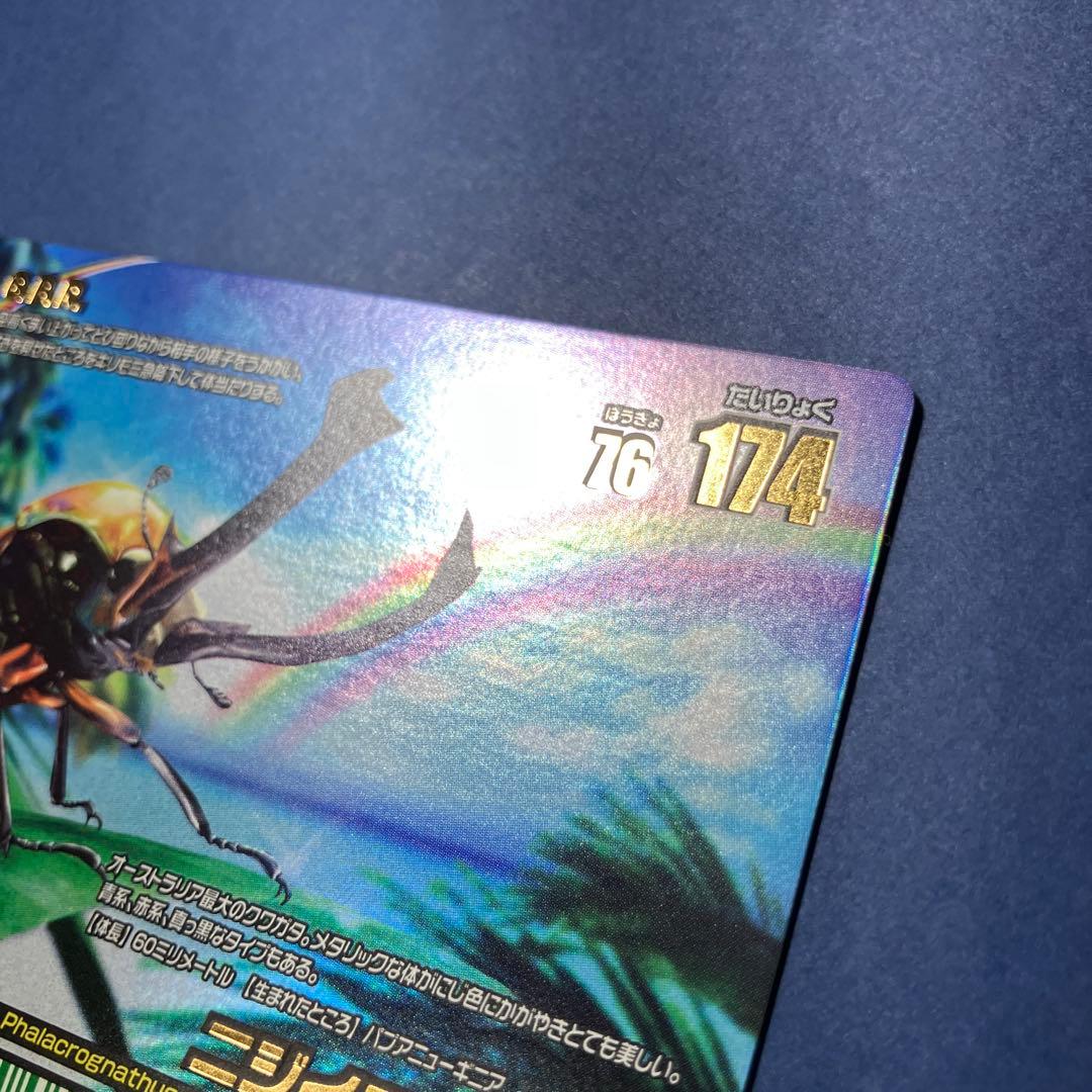 甲虫王者ムシキング アダー完結編 レインボー ニジイロクワガタ