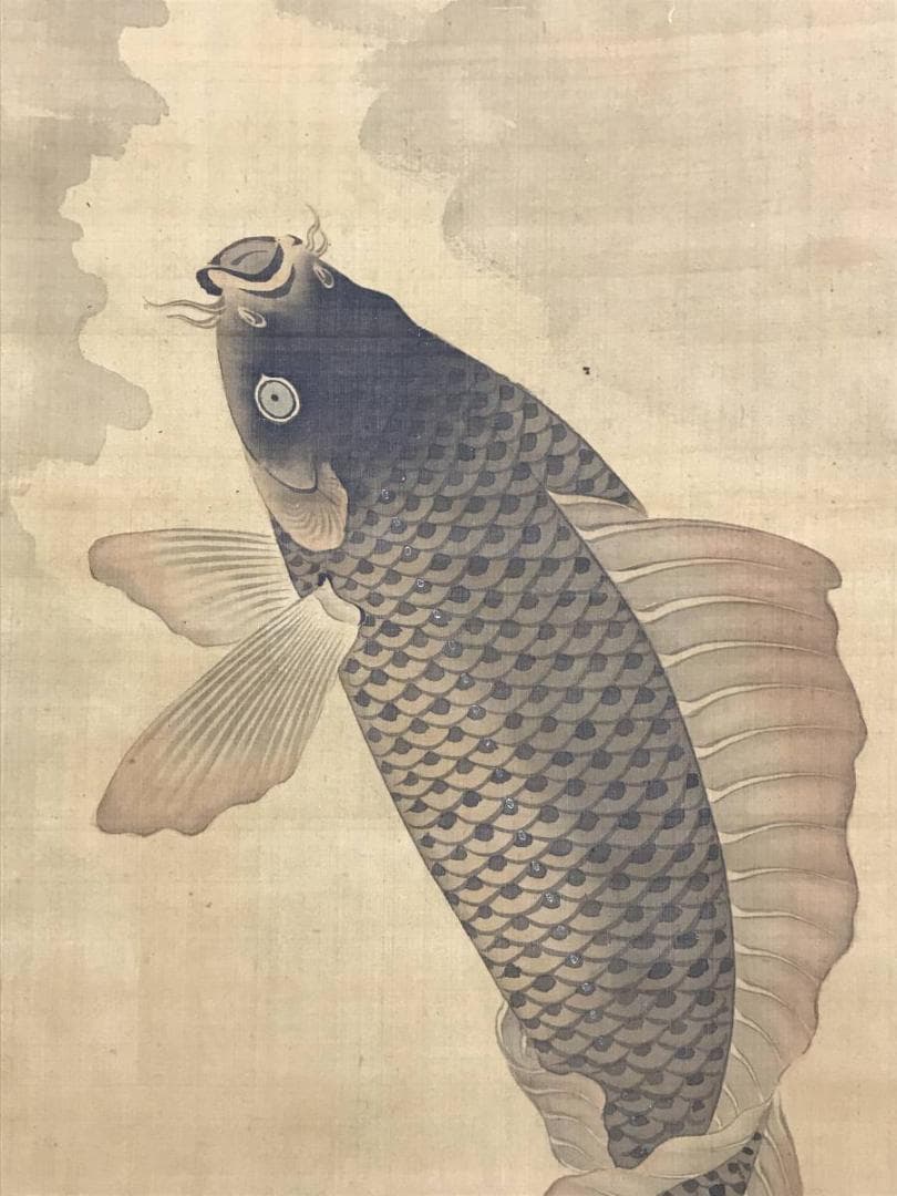 円山応挙/圓山應擧/跳鯉図/コイ図/鯉図/掛軸/名家伝来/AD-768 - メルカリ
