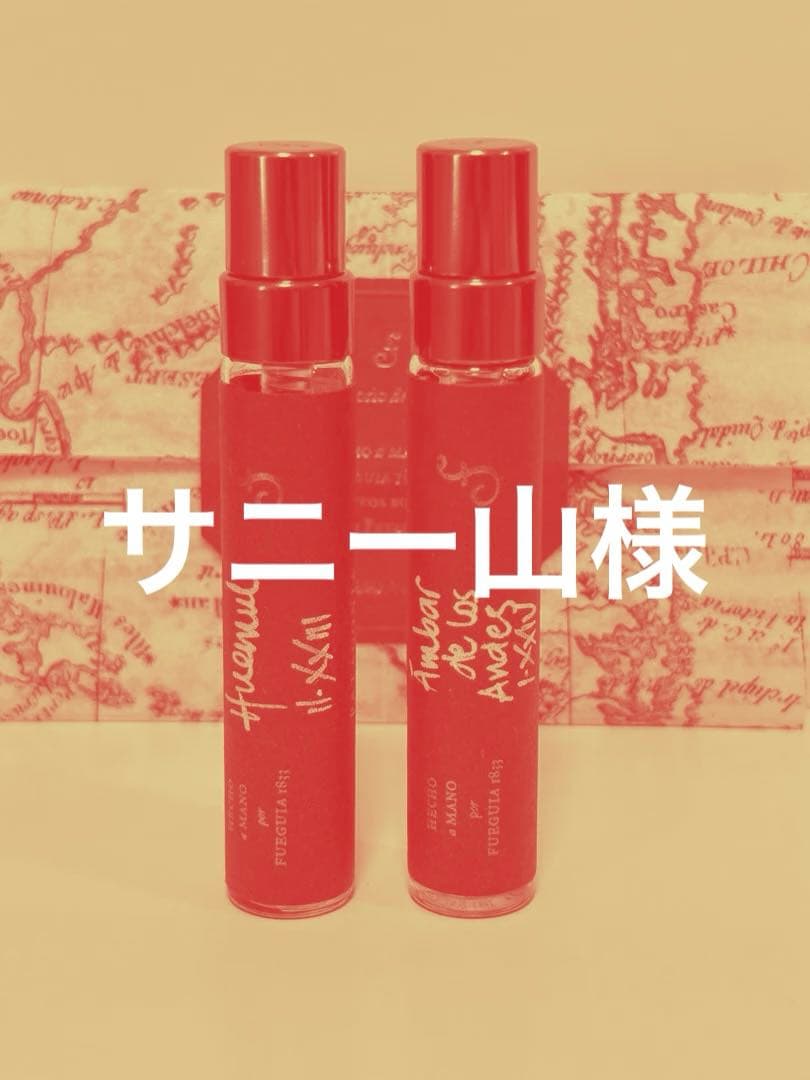 フエギア　ウエムル　アンバーデロスアンデス　アンバル　コンポジション　雪の足跡