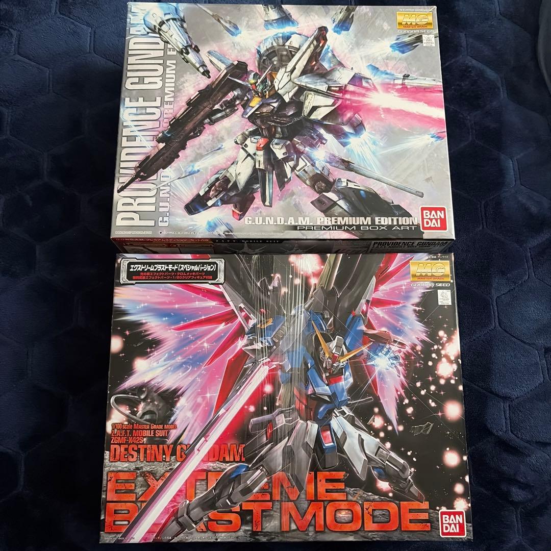 【特装版ＭＧガンプラ2点セット】プロヴィデンスガンダム&デスティニーガンダム