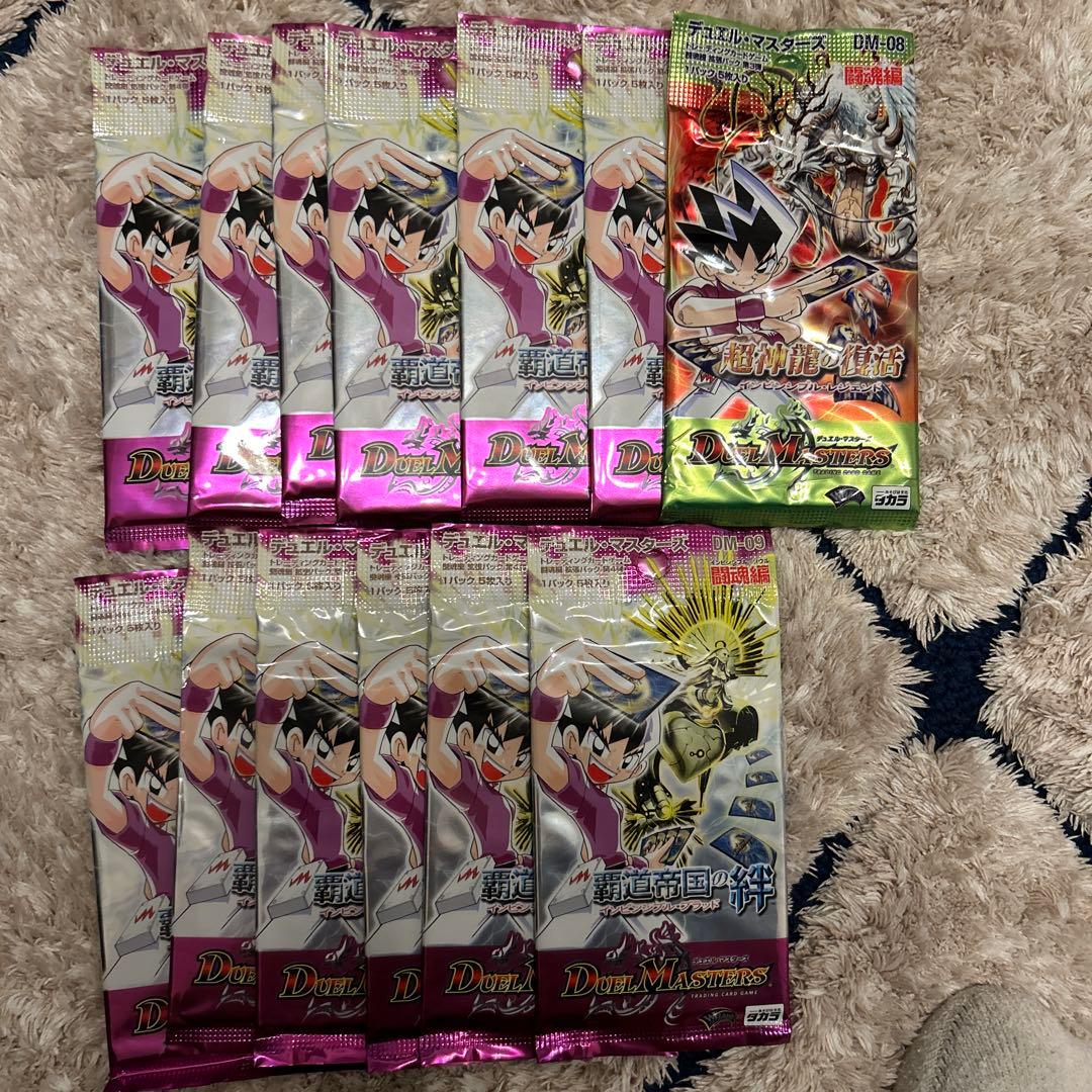 ドリームスカー　DM-09 12パックDM-08 1パック