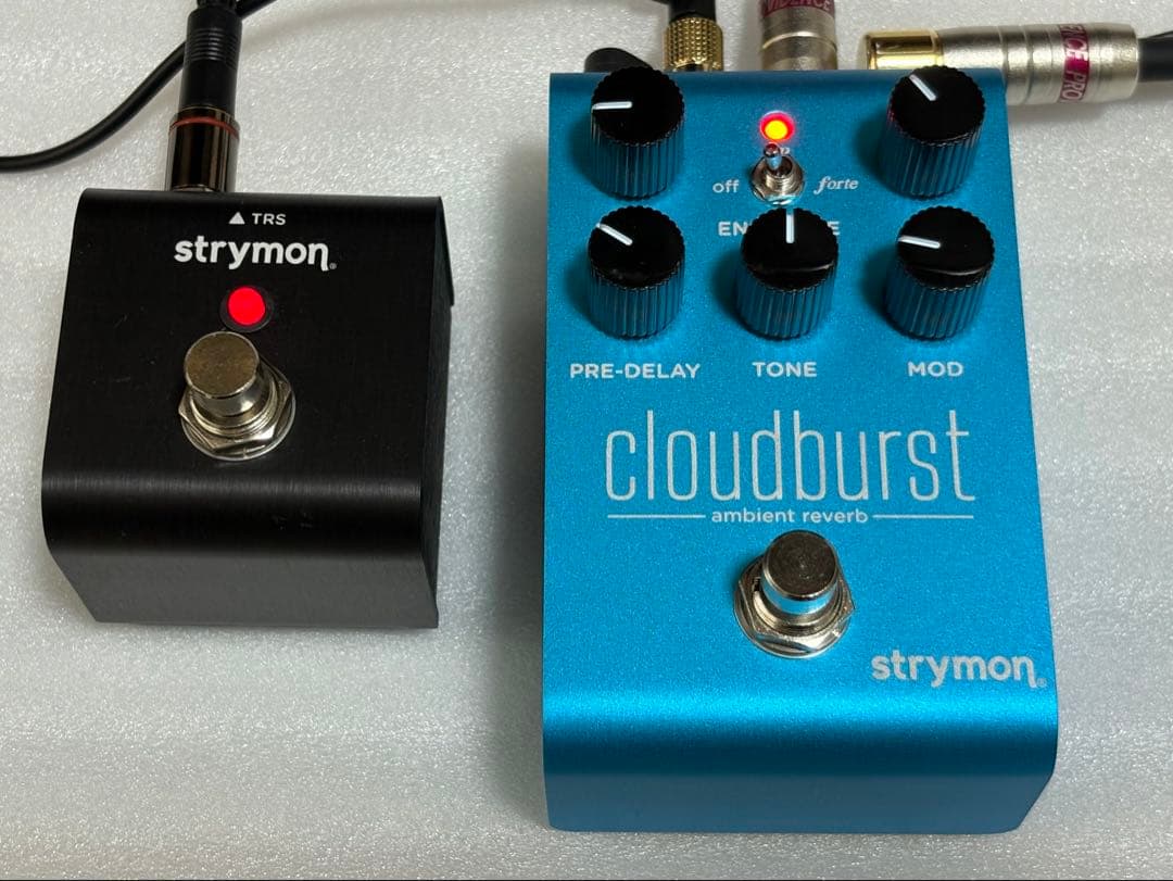 ギター strymon cloudburst & mini switch