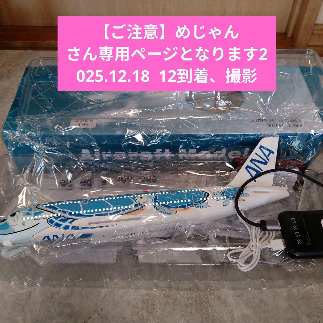 ●【ご注意！】 めじゃんさん 専用の機体です 12/18着 000000001355_m8TjUjL.jpg