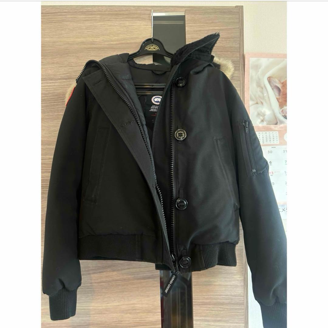   ラブラドールダウンジャケット