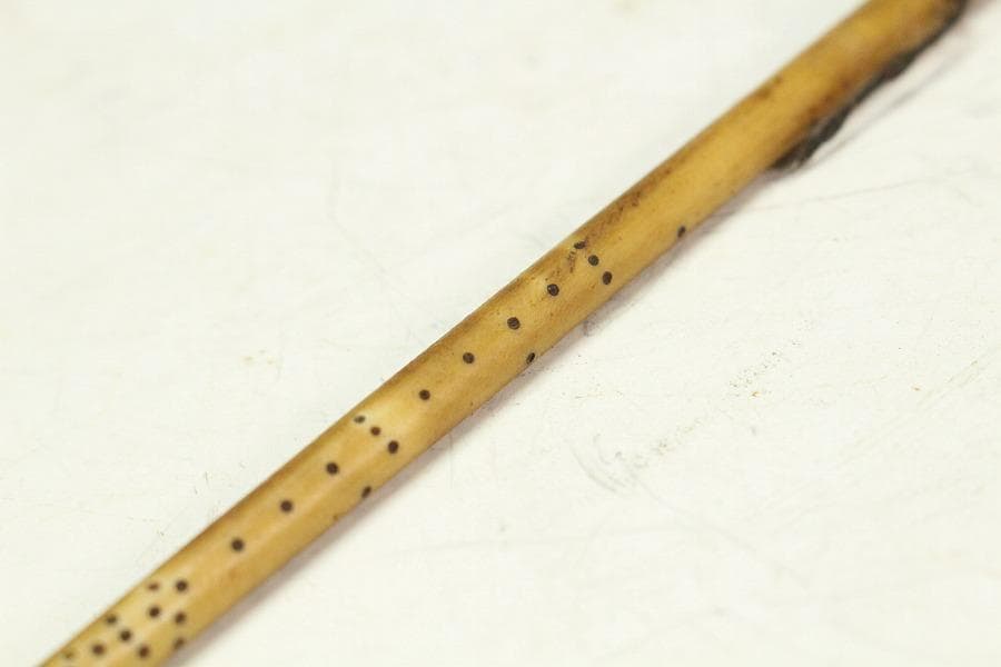 中国美術 花梨 刻 雲蝙蝠紋 秤 測り具(K-A911) - メルカリ