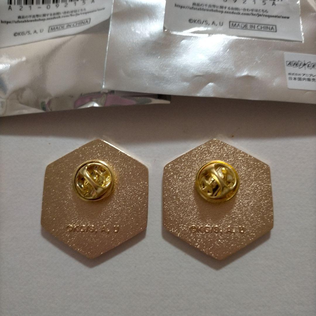 鬼滅の刃 アニメ伍周年記念祭～後夜祭～ キャラクターモチーフピンズ