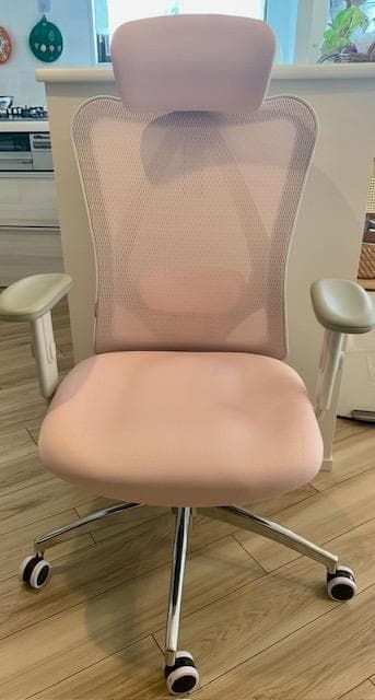 ピックアップのみ - SIHOO M18オフィスチェア人間工学に基づいたデザイン