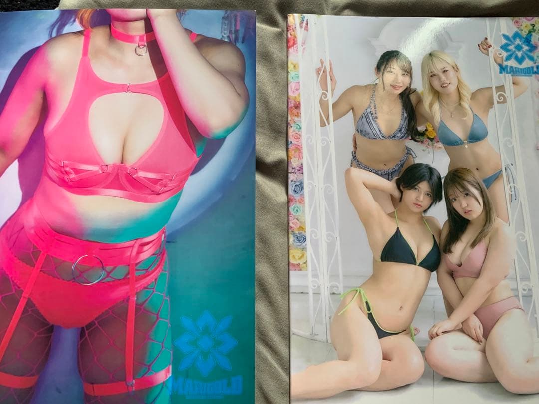 マリーゴールド ビキニスタイル2025 MIRAI - メルカリ
