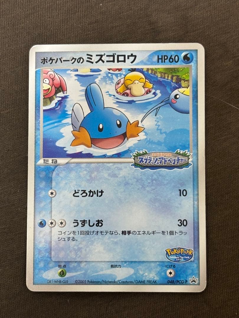 ポケパークのミズゴロウ プロモ 048/PCG-P ポケモンカード - メルカリ