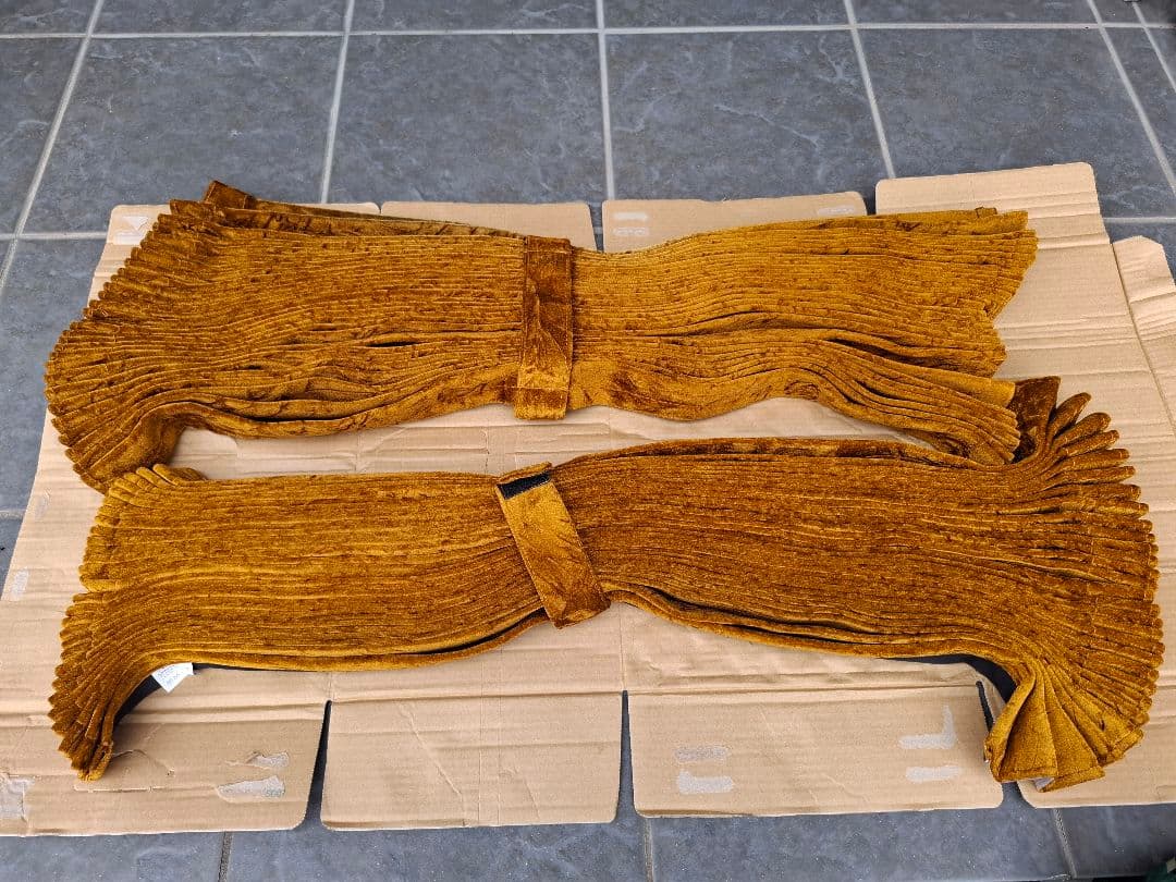 チンチラゴールド 吉祥寺店初』チンチラ（ゴールドバー）が入荷しました！！ | 熱帯倶楽部