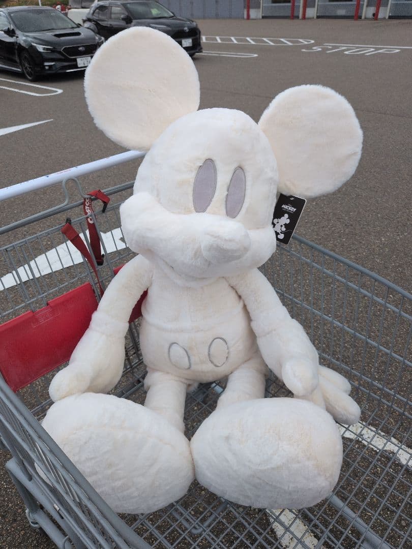 コストコ様今年新発売の白と黒のミッキー ダンボール発送 - メルカリ