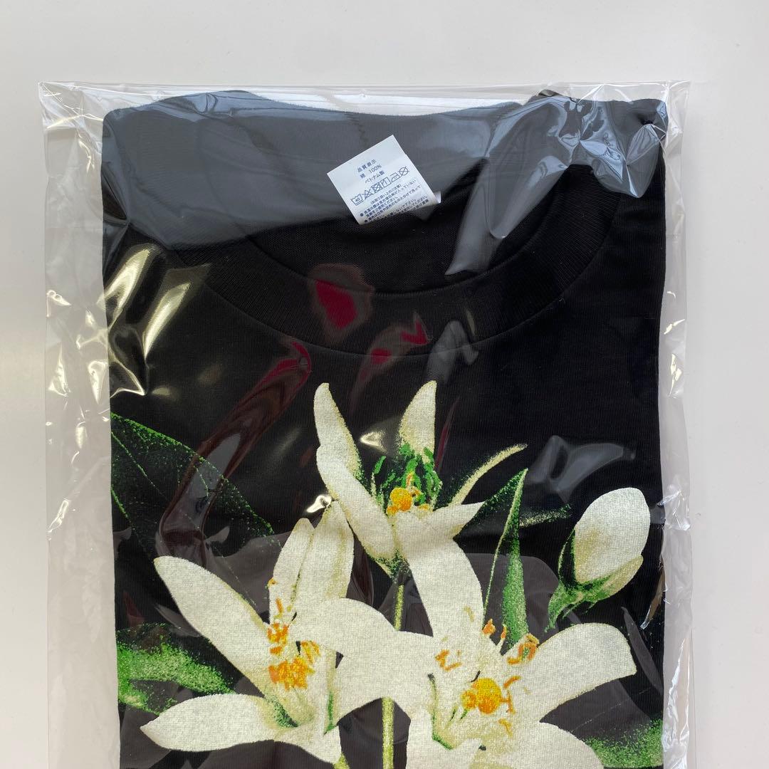 TENBLANK Tシャツ セントマイケルコラボ 佐藤健 テンブランク Mサイズ