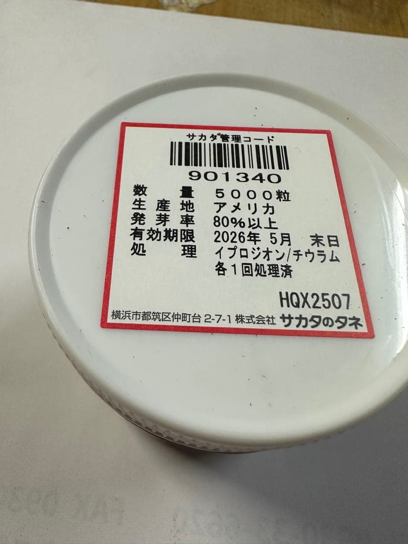 ブロッコリー種　SK9-099