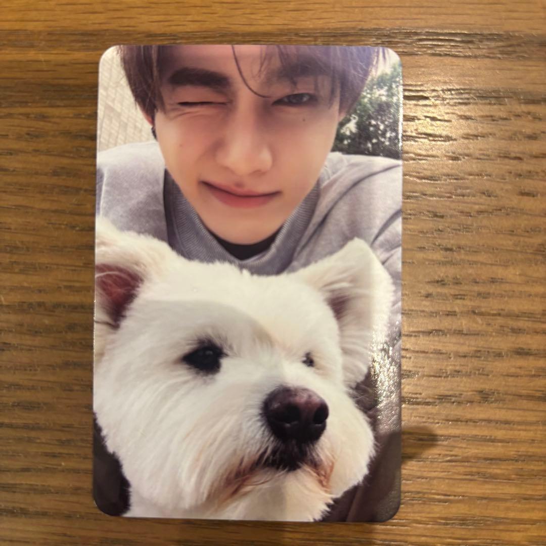 ZB1 トレカ NEVER SAY NEVER 封入 ジャンハオ 犬 - メルカリ